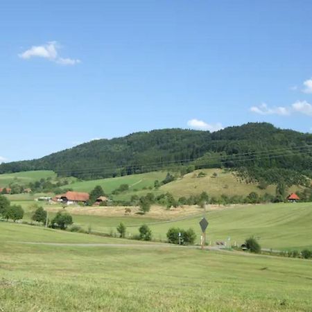 Sonniges-Naturnahes-Schwarzwald-Ferienhaeuschen Welschensteinach Εξωτερικό φωτογραφία