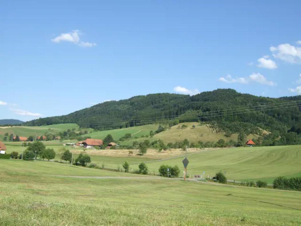Sonniges-Naturnahes-Schwarzwald-Ferienhaeuschen Welschensteinach Εξωτερικό φωτογραφία