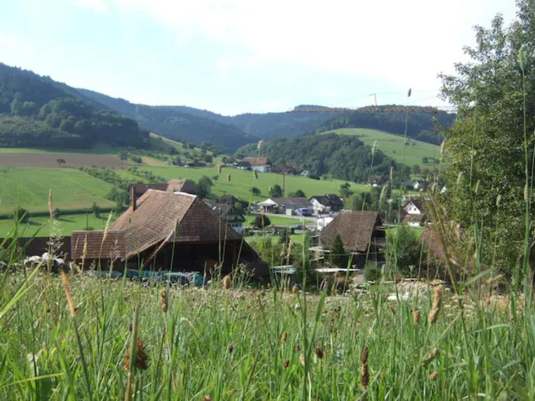 Sonniges-Naturnahes-Schwarzwald-Ferienhaeuschen Welschensteinach Εξωτερικό φωτογραφία