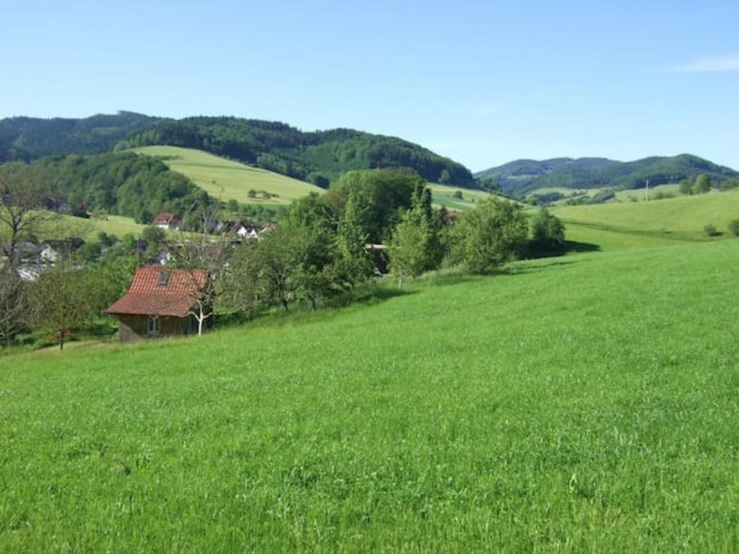 Sonniges-Naturnahes-Schwarzwald-Ferienhaeuschen Welschensteinach Εξωτερικό φωτογραφία